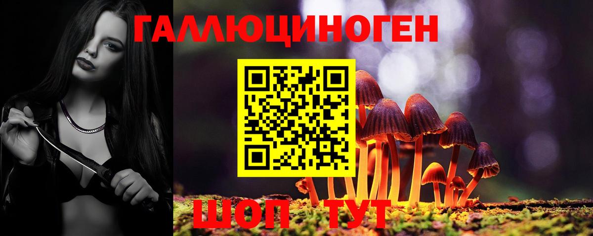 Псилоцибиновые грибы MAGIC MUSHROOMS Южно-Сахалинск